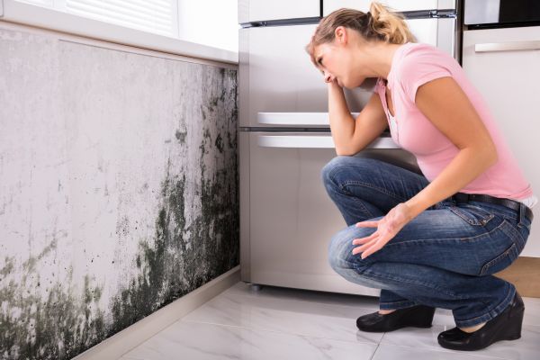 Air Duct Mold Removal